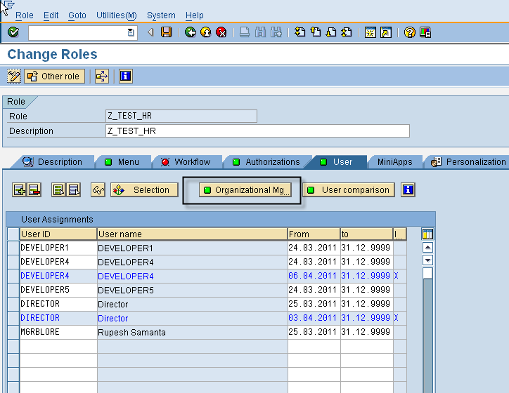 how to check role assignment history in sap